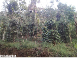 3 acre residential  land for sale in udumbanchola thaluk ,(kalkoonthal village) ,idukki.