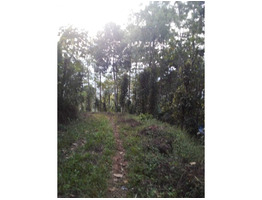 3 acre residential  land for sale in udumbanchola thaluk ,(kalkoonthal village) ,idukki.