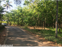 21.50 Residential Land for Sale at Kavalangad, Mangattupadi,ernakulam