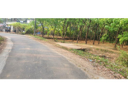 21.50 Residential Land for Sale at Kavalangad, Mangattupadi,ernakulam