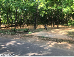 21.50 Residential Land for Sale at Kavalangad, Mangattupadi,ernakulam