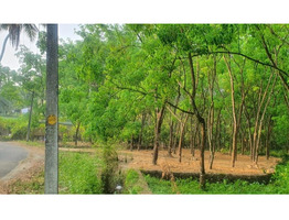 21.50 Residential Land for Sale at Kavalangad, Mangattupadi,ernakulam