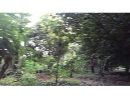 51 cent land sale at  Annanad-Chalakkudi ,Thrissur