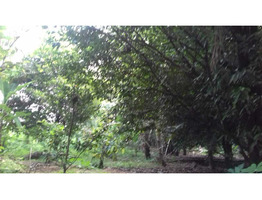 51 cent land sale at  Annanad-Chalakkudi ,Thrissur