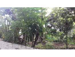 51 cent land sale at  Annanad-Chalakkudi ,Thrissur