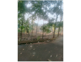 60 cents residential land for sale near Njeezhoor, Kottayam district