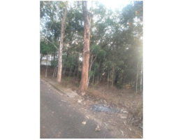 60 cents residential land for sale near Njeezhoor, Kottayam district