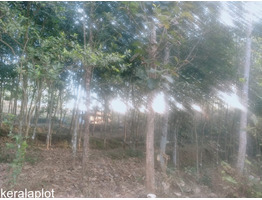 60 cents residential land for sale near Njeezhoor, Kottayam district