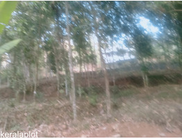 60 cents residential land for sale near Njeezhoor, Kottayam district