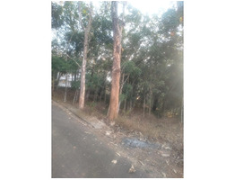 60 cents residential land for sale near Njeezhoor, Kottayam district