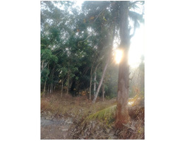 60 cents residential land for sale near Njeezhoor, Kottayam district