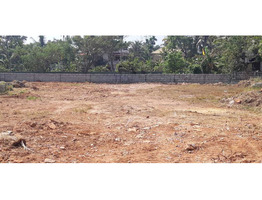 45 cent land sale at thekkum gopuram,karapuzha,Kottayam