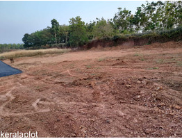 21 cent land sale at  Thottapady,Ernakulam.