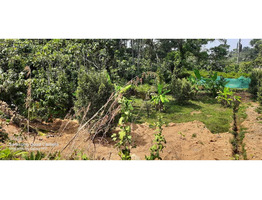 2 Acre land  sale at  Kanjikuzhy , Idukki.