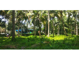 Guruvayoor town property for sale