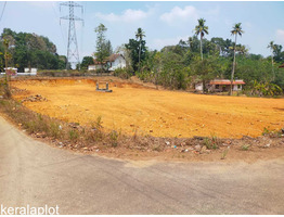 1 acre land for sale at kottayam