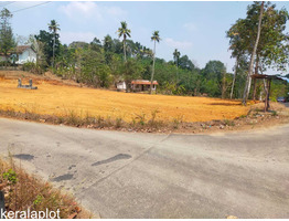 1 acre land for sale at kottayam