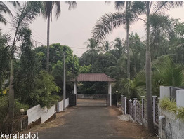 25 cents residential plot for sale at  Shoranur-Palakkad