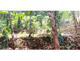 64 cent land with 1500 sqft.house sale at kanjirappara,Kottayam.