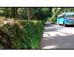 13 cents Residential land for sale near kayalodu bus stop road ( Kannur_ kuthuparamba highway)