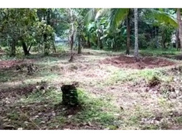 13 cents Residential land for sale near kayalodu bus stop road ( Kannur_ kuthuparamba highway)