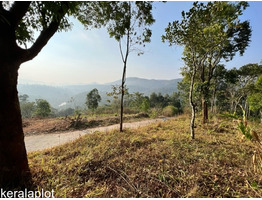 12.5 CENTS OF LAND. NEAR MUNNAR.BEST FOR A HOLIDAY COTTAGE OR HOUSE- 2 LAKHS/ CENT