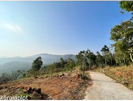 12.5 CENTS OF LAND. NEAR MUNNAR.BEST FOR A HOLIDAY COTTAGE OR HOUSE- 2 LAKHS/ CENT