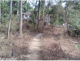 5+ Acres of Agricultural Land for Sale at Thrissur