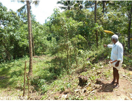 RESIDENTIAL LAND IN THIRUMUKKULAM, TRISSUR DISTRICT