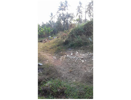 RESIDENTIAL LAND IN THIRUMUKKULAM, TRISSUR DISTRICT