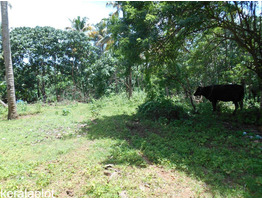 RESIDENTIAL LAND IN THIRUMUKKULAM, TRISSUR DISTRICT