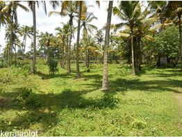 6 acres 53 cents of land For Sale Near by Thathappally Higher Secondary School