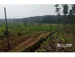 1 acre  investment purpose land for sale in Kammana @ 50lakh