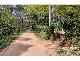 30cent land with old house for sale in Poothadi