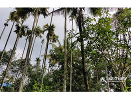 30cent land with old house for sale in Poothadi