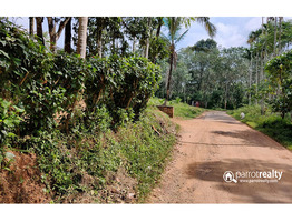 30cent land with old house for sale in Poothadi