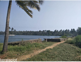 Coconut Farm