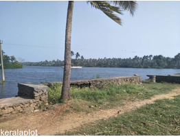 Coconut Farm