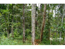 30 cent house plot for sale near Kakkavayal @ 40000/cent