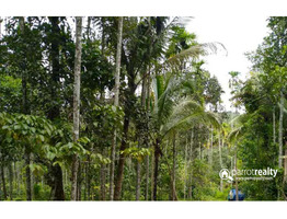 30 cent house plot for sale near Kakkavayal @ 40000/cent