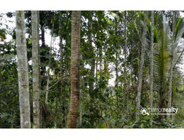 30 cent house plot for sale near Kakkavayal @ 40000/cent