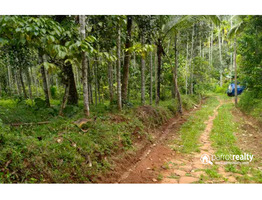 30 cent house plot for sale near Kakkavayal @ 40000/cent