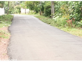 38 Cents Land for sale in Thamarakulam Village