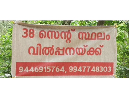 38 Cents Land for sale in Thamarakulam Village