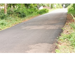 38 Cents Land for sale in Thamarakulam Village