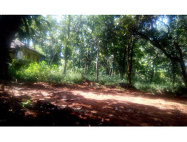 61 cents square plot for sale near Ottapalam