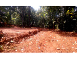 61 cents square plot for sale near Ottapalam