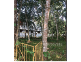 27 CENTS OF LAND FOR SALE AT MAVELIKKARA, ALAPPUZHA.