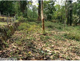 39.75 cents land for sale at thoduppuzha idukki