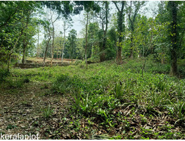 39.75 cents land for sale at thoduppuzha idukki